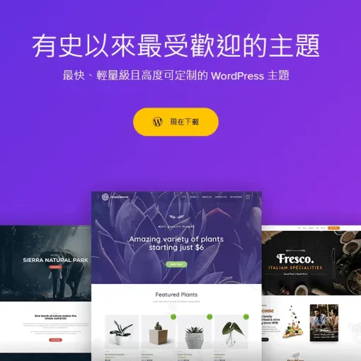 Astra theme 最受歡迎的佈景主題之一備受推崇